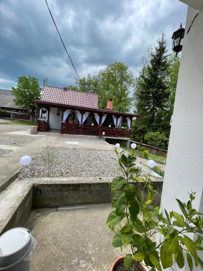 Pensiunea Dragos Voda Breb Exteriér fotografie